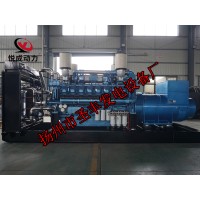 12M33D1320E310博杜安1200KW柴油發(fā)電機(jī)組